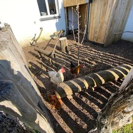 Avec Jacuzzi Proche De La Et Du Centre *