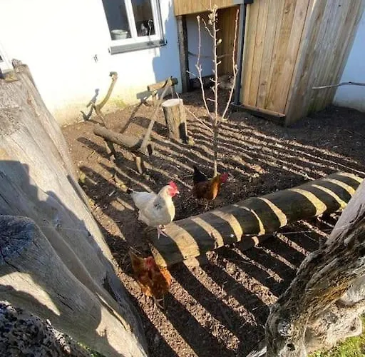 Avec Jacuzzi Proche De La Et Du Centre *